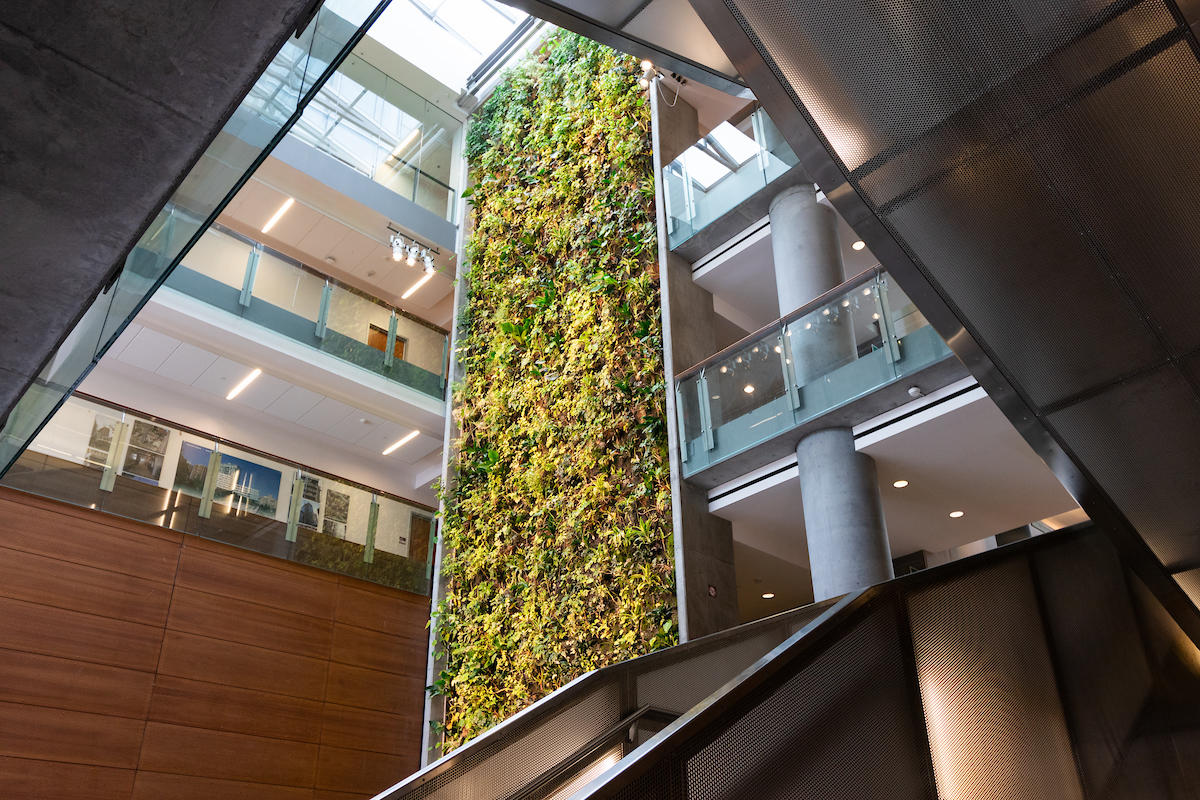 Mur vert dans le bâtiment des sciences sociales 