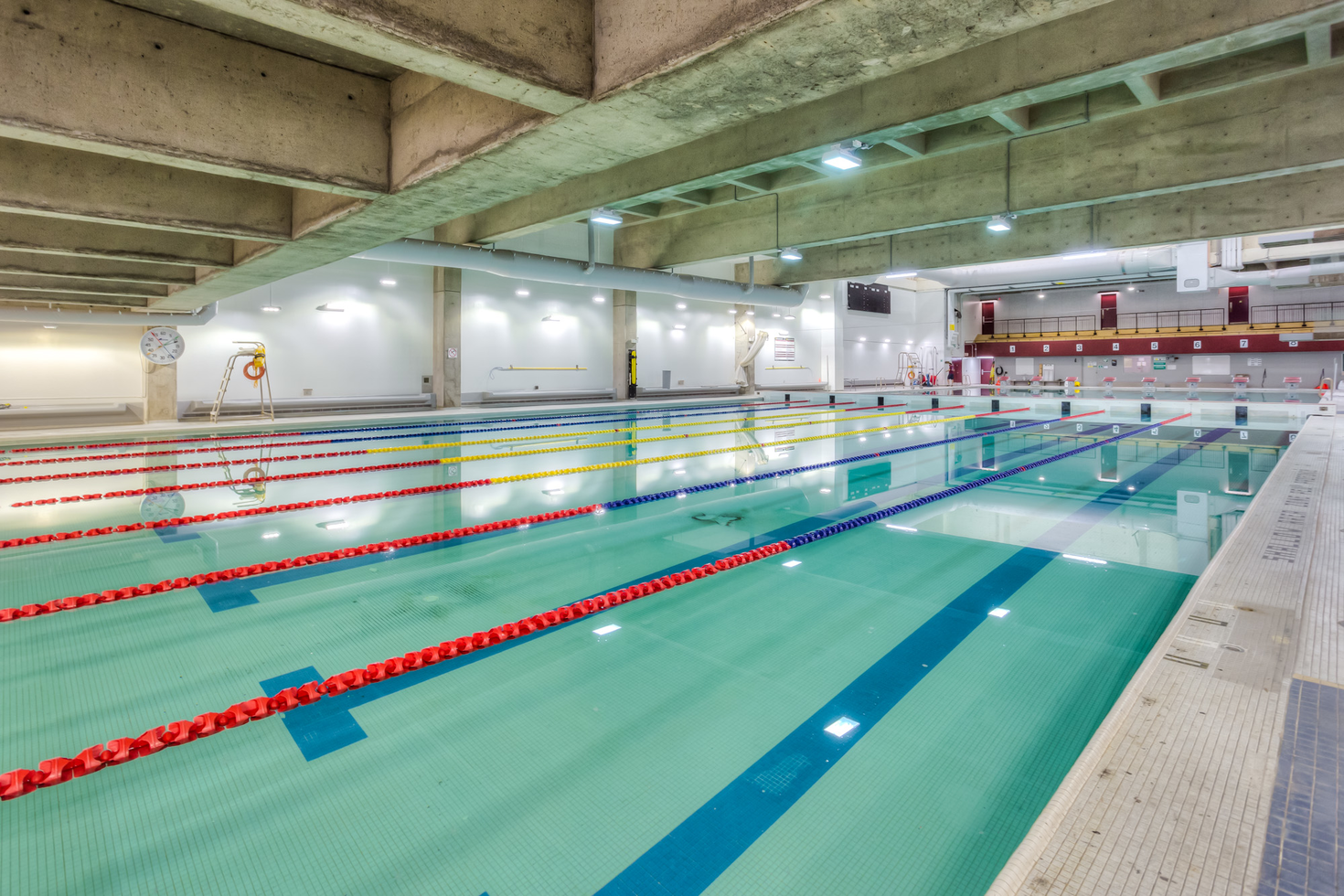 La piscine de l'Université d'Ottawa, les couloirs de nage sont installés.