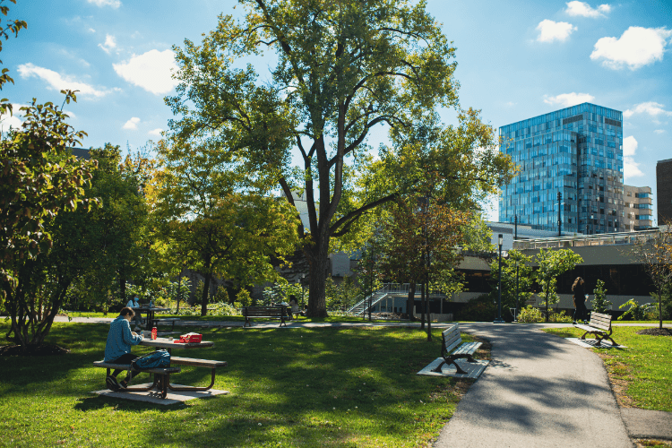 Espaces verts sur le campus