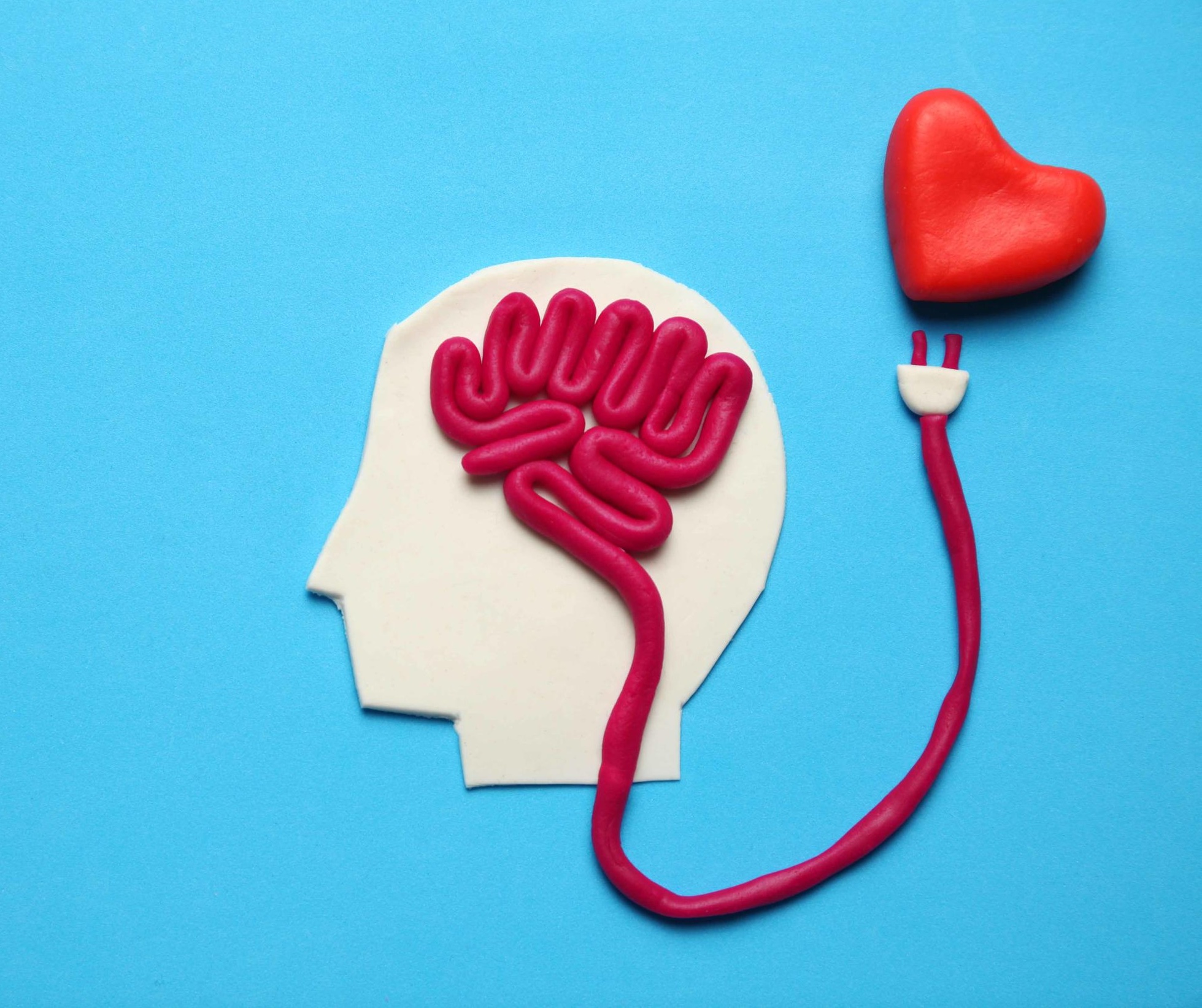 connection cerveau-coeur
