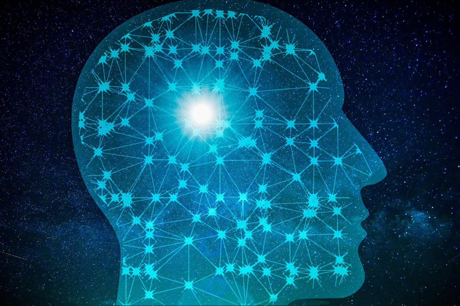 Un cerveau avec des circuits