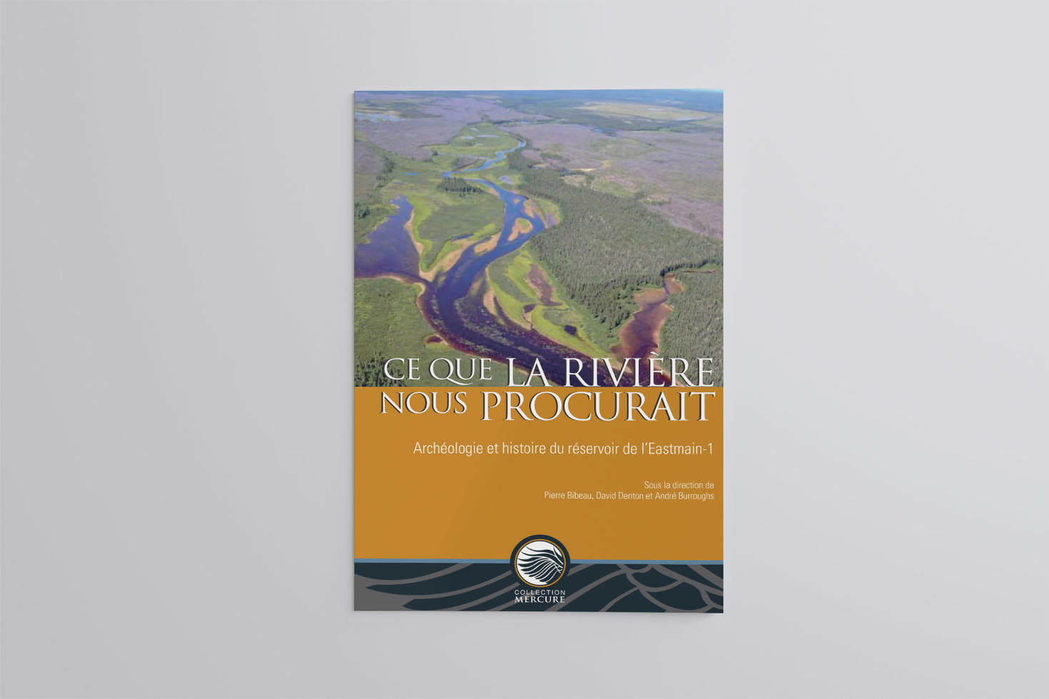 Couverture du livre Ce que la rivière nous procurait