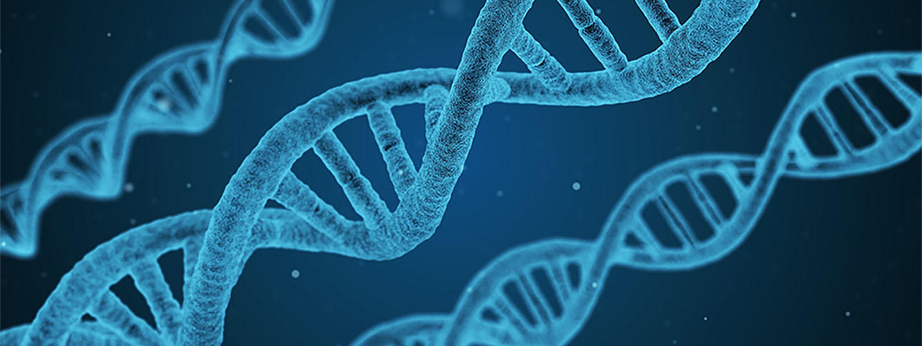 Une molécule d'ADN sur un fond bleu