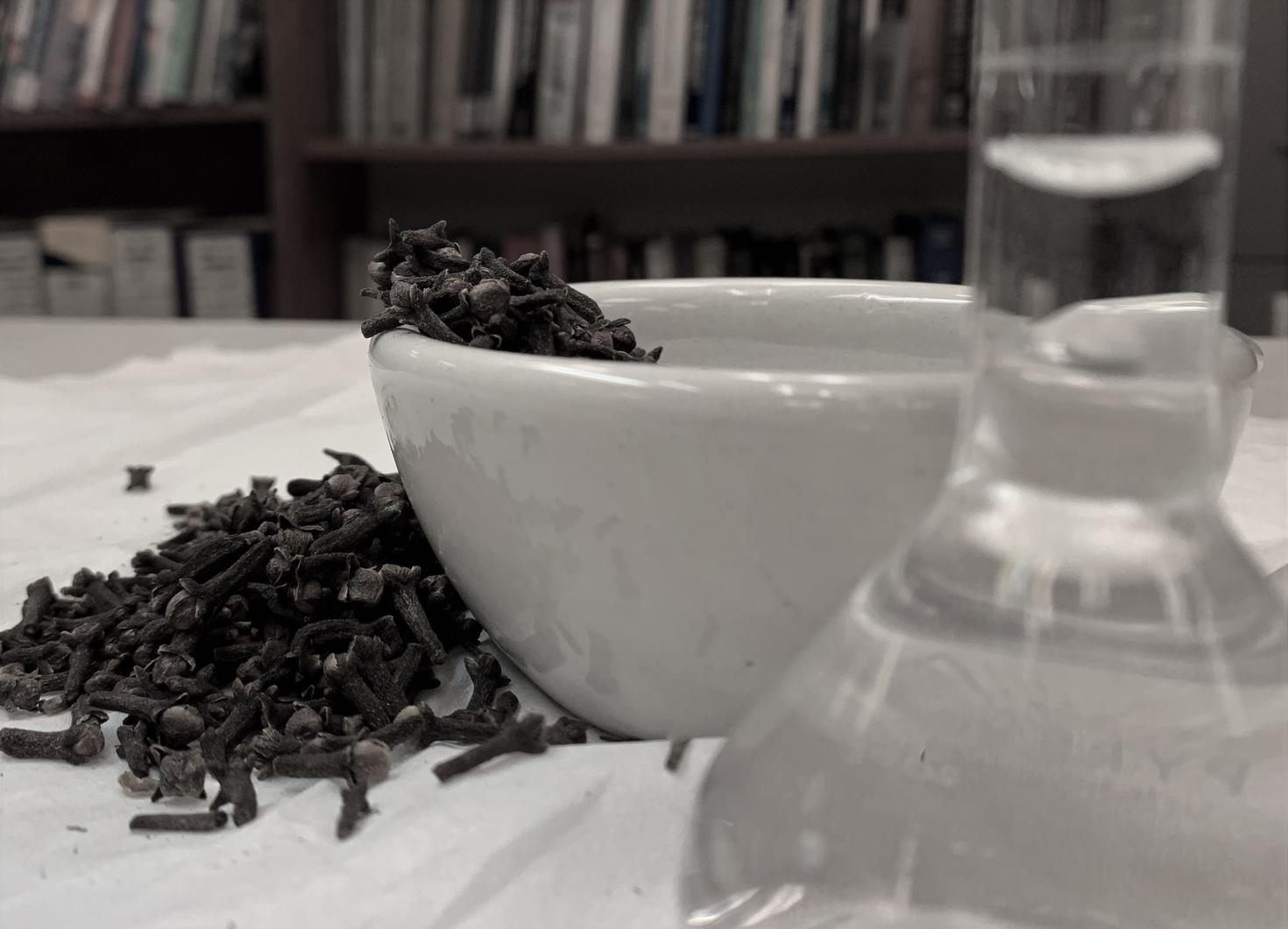 Clove dried flowers and Hydrosol