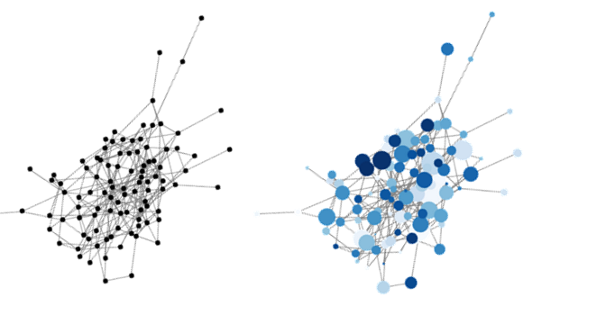 Profil des cellules de l'étude