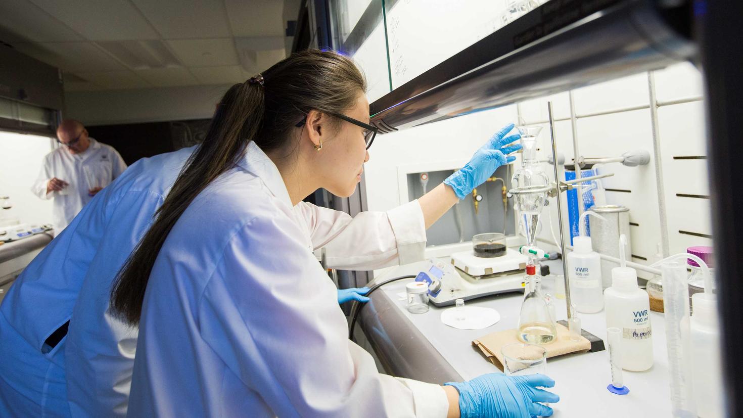 Students working in a scientific lab