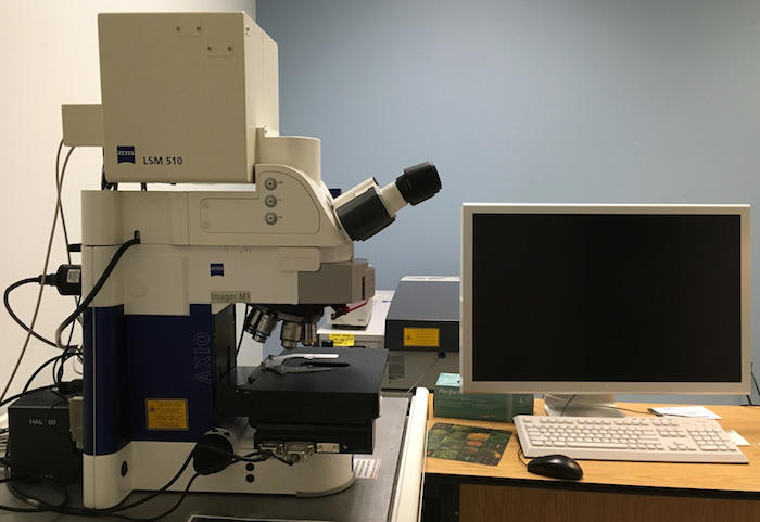 Zeiss LSM510 AxioImager M1 microscope