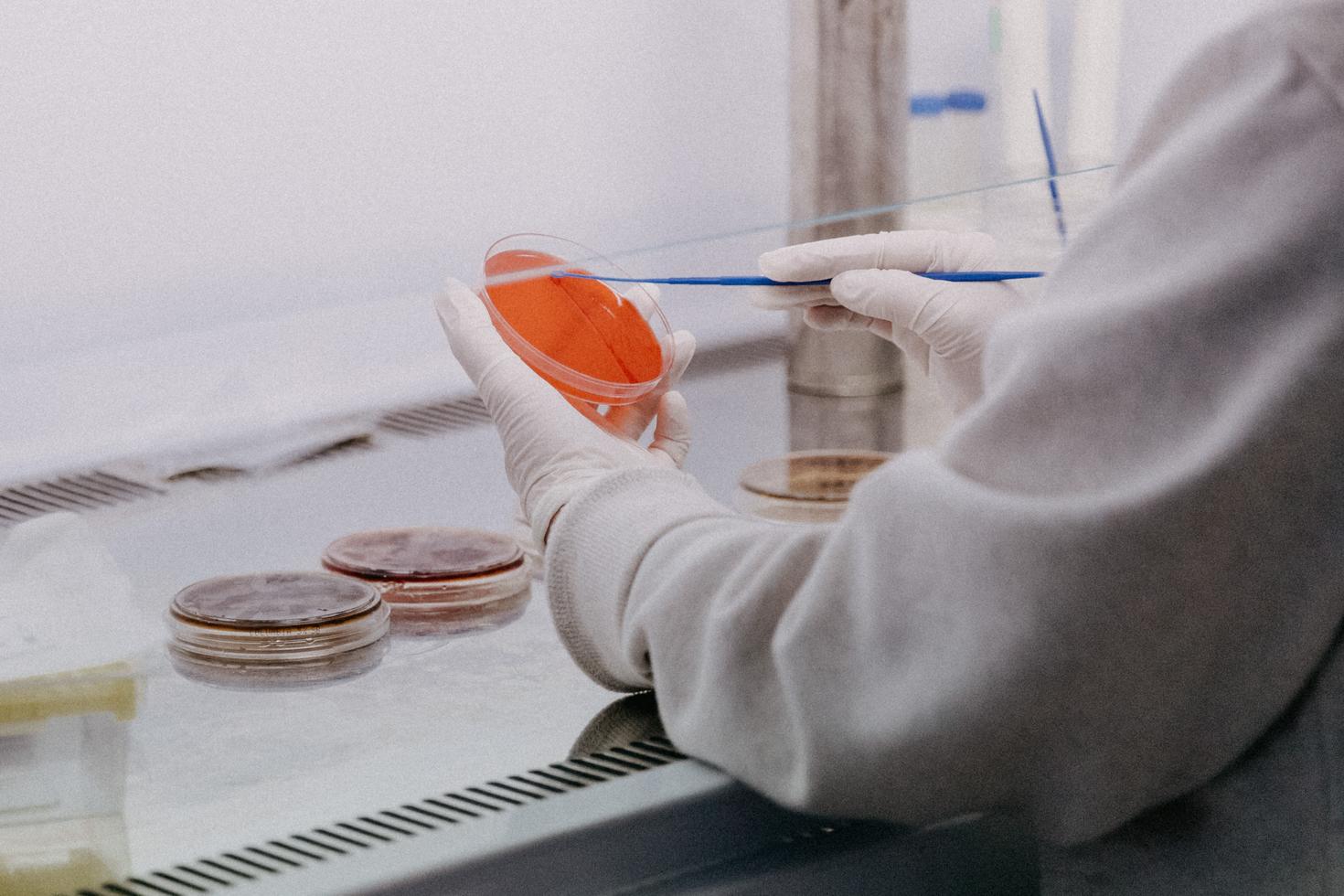 Close-up on hands working with a sample in a lab