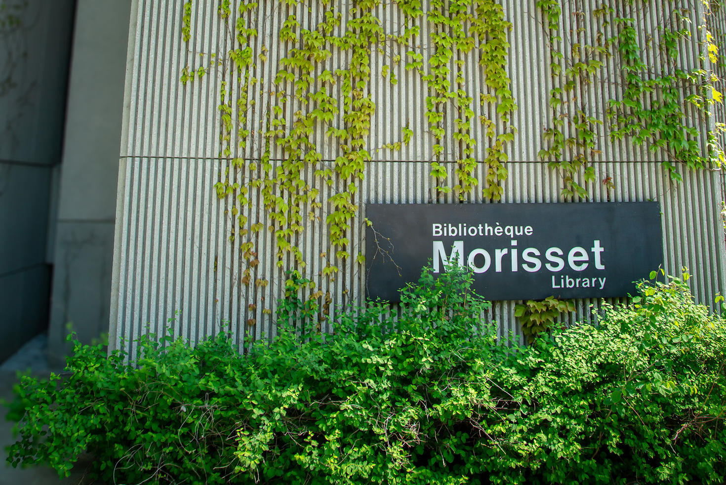 Morisset Library sign