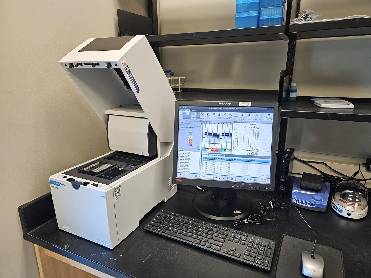 TapeStation Automated Electrophoresis