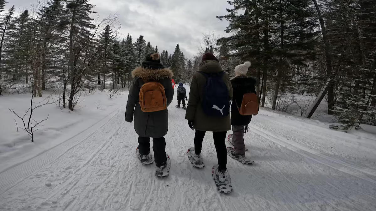 women on snowshoes walking through the forest