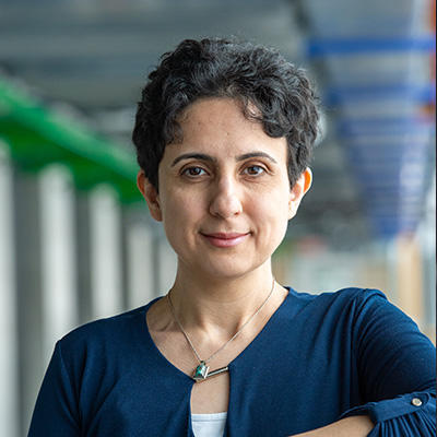 Shiva Nejati