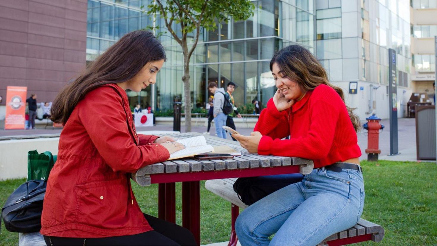 Two students studying on campus.