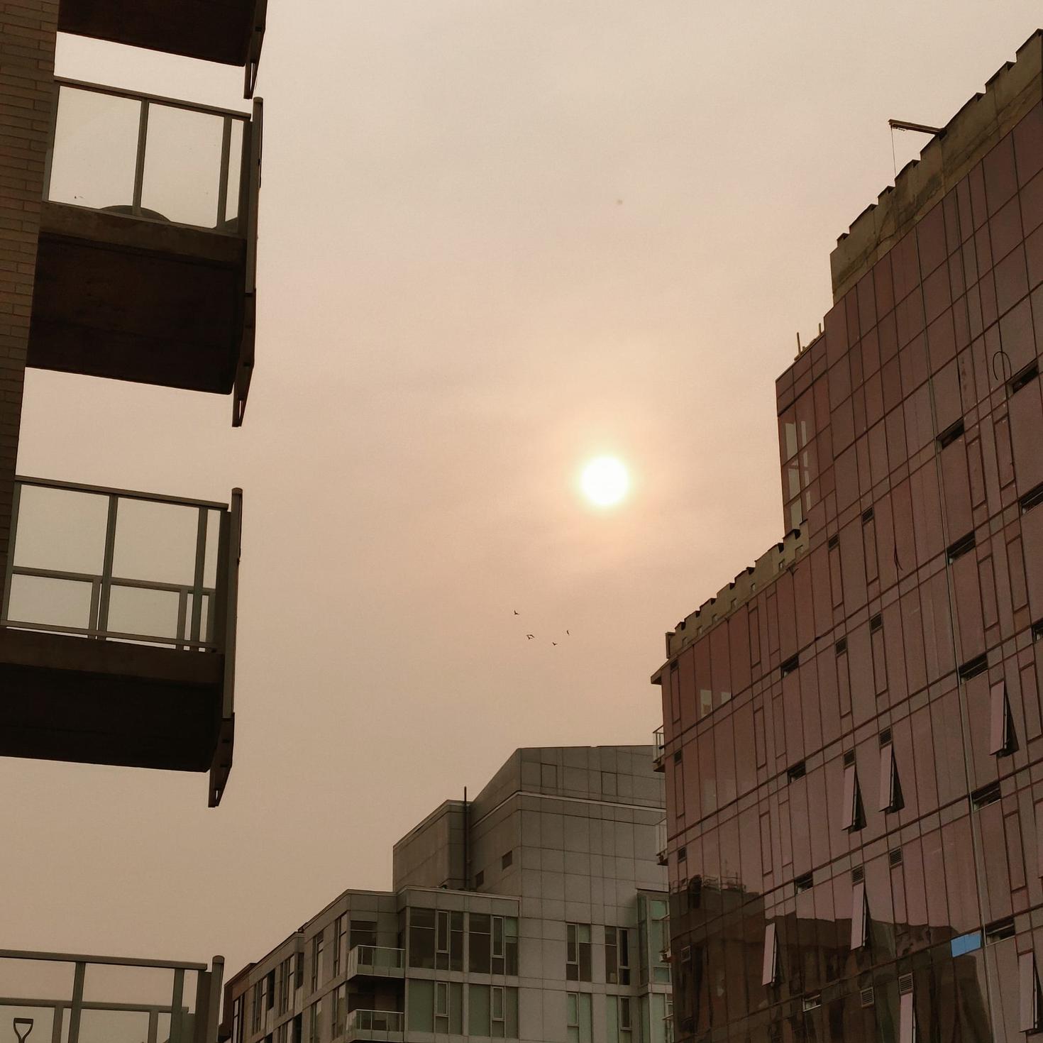 Smog