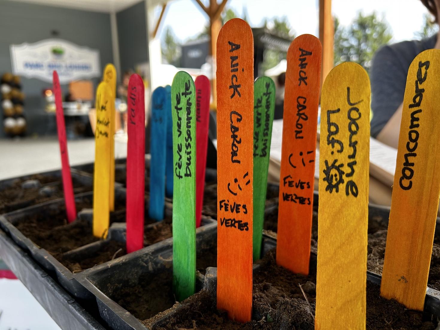 Semis personnalisés du jardin partagé