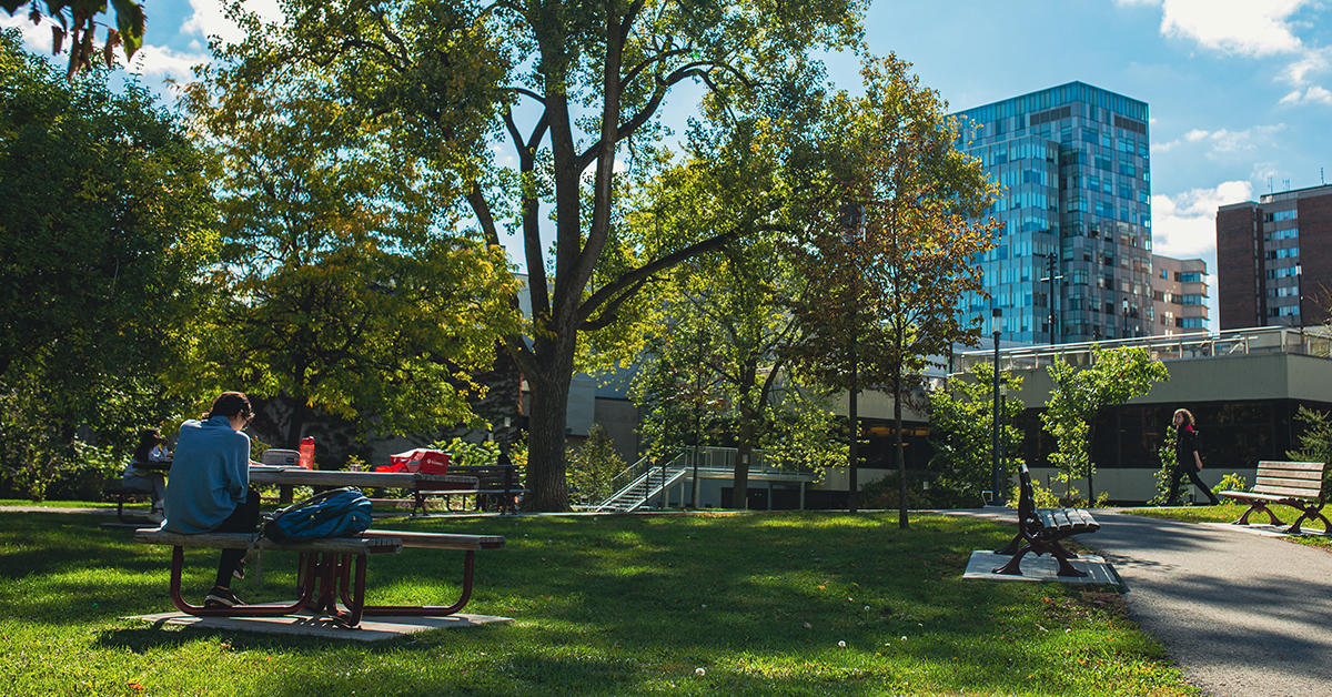 Sunny and green campus