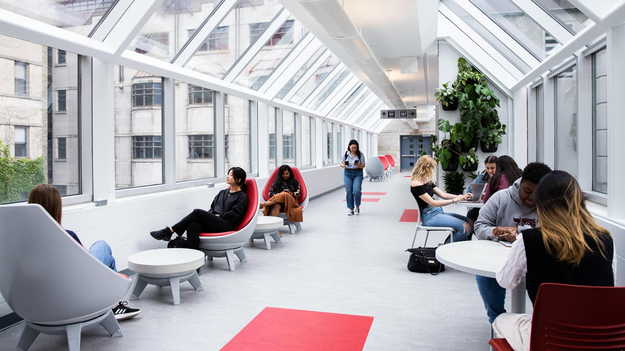 Students inside study and walk in a sunny passageway.