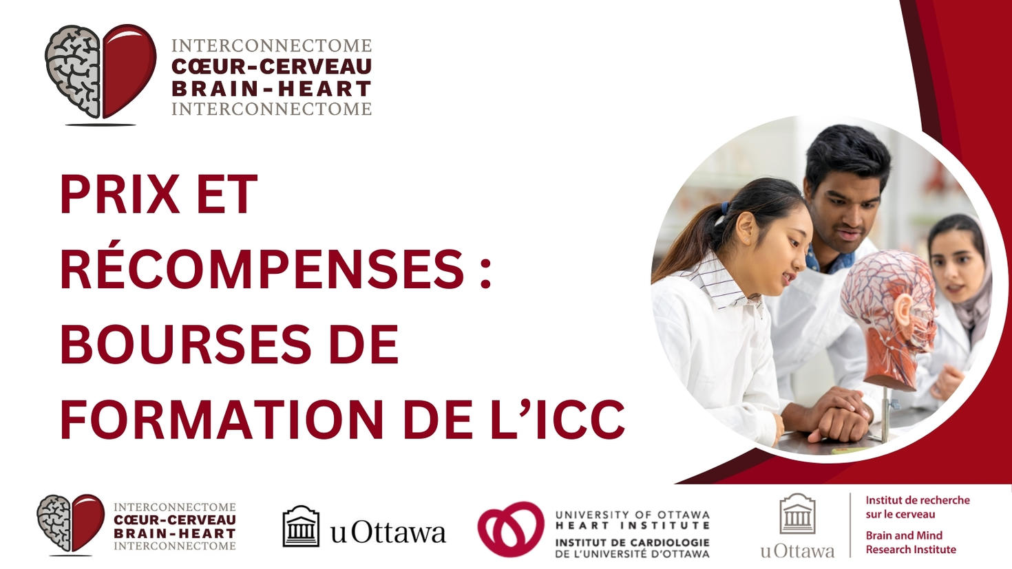 Logo ICC en haut de l'image. Des étudiants en laboratoire observent un modèle anatomique d'une tête. Le texte indique « Prix et réalisations : prix des stagiaires ICC ».