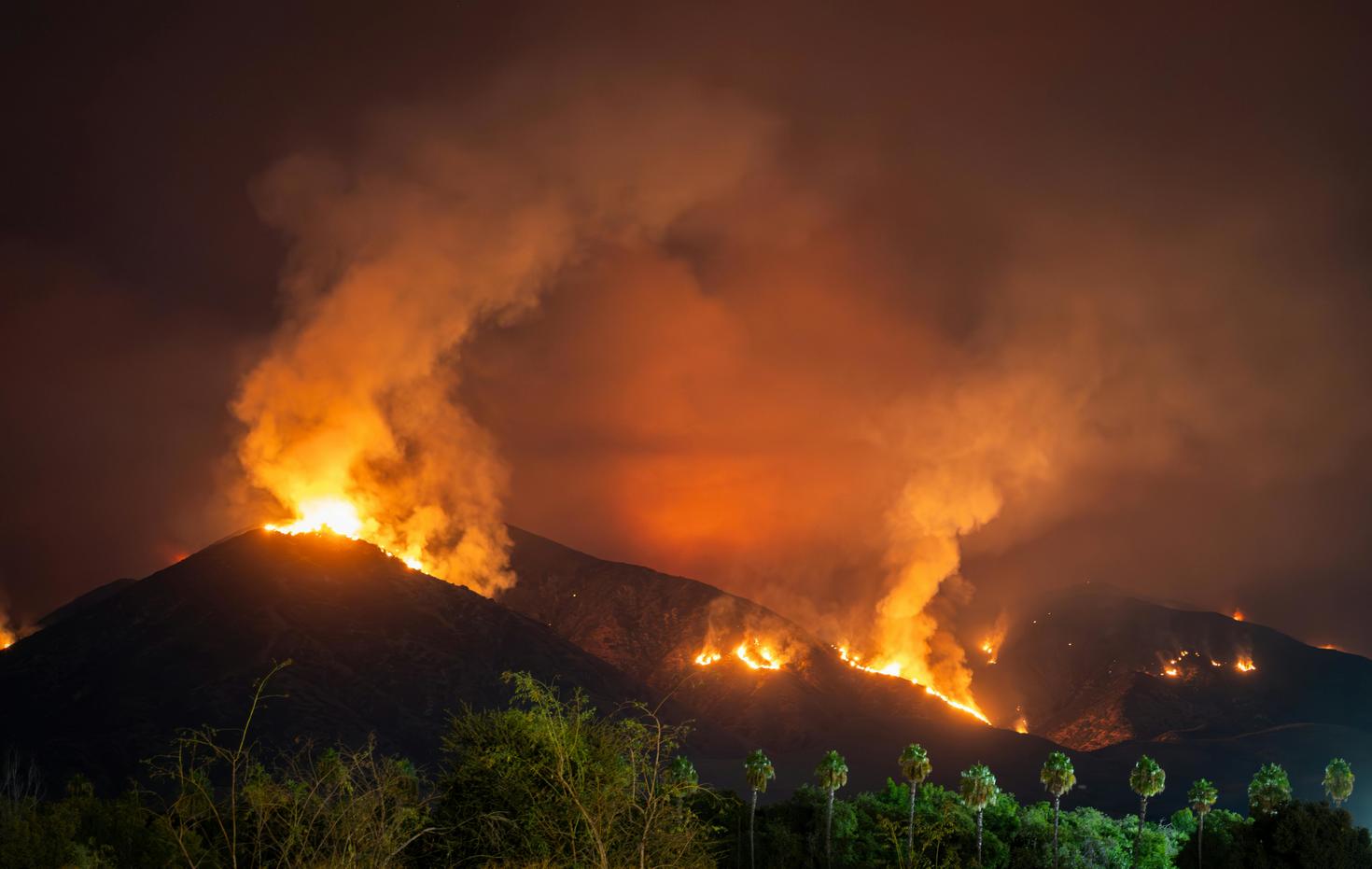 California wildfires: climate change and biodiversity