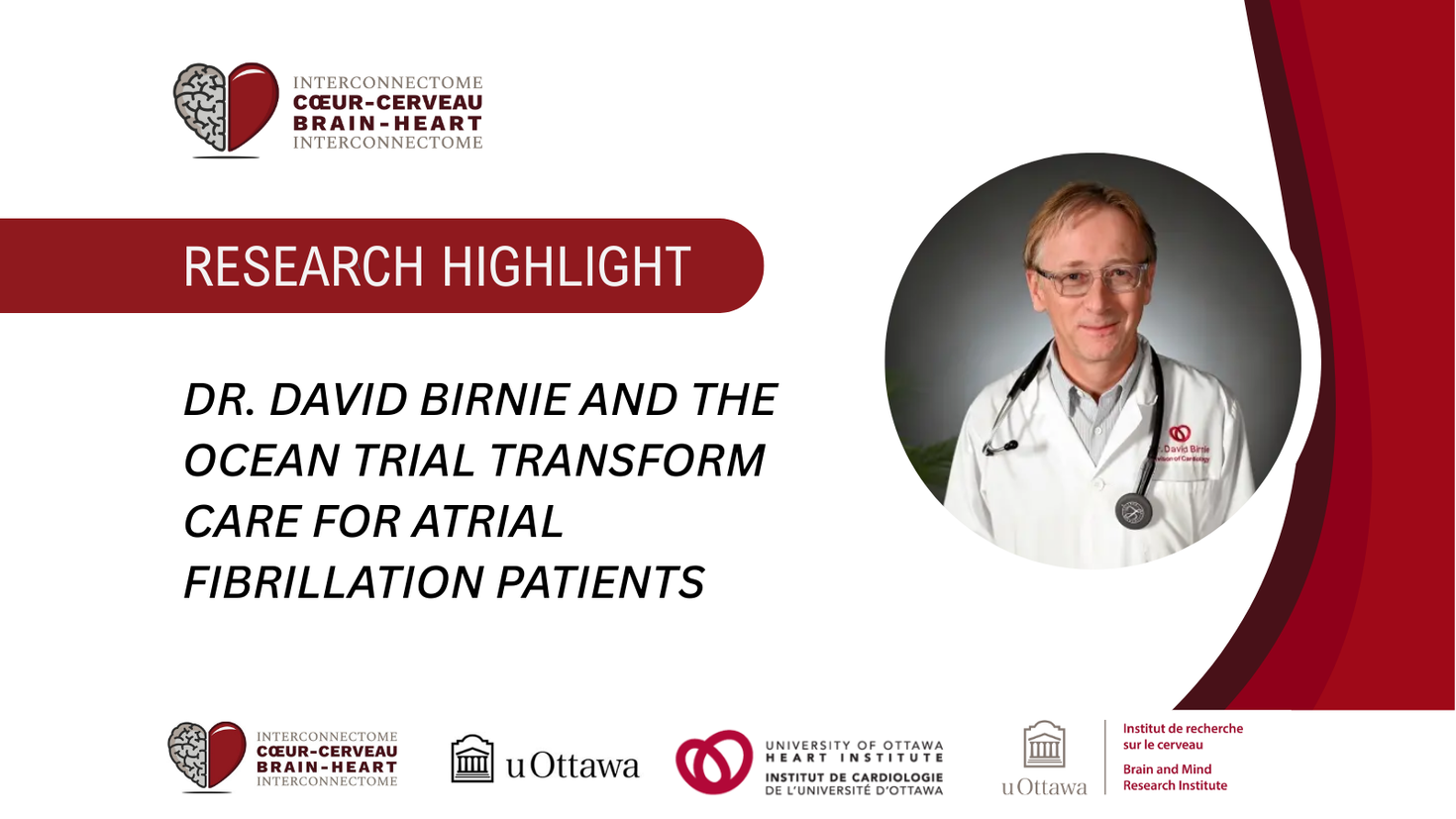 David Birnie Research Highlight Banner.