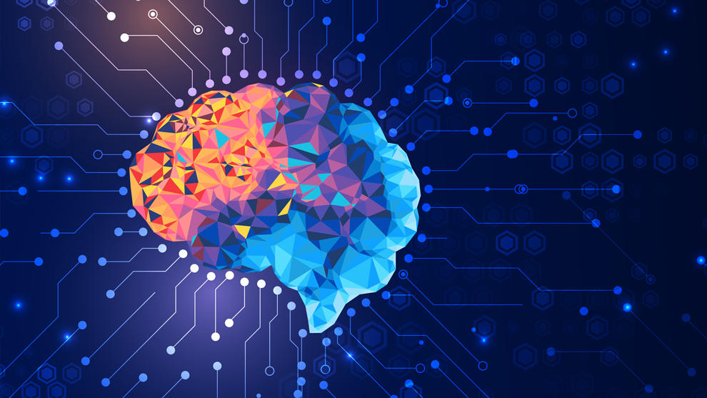Brain banner 3