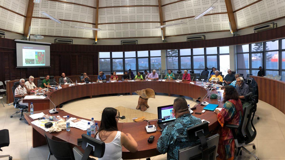 Around twenty people gathered around a table in a meeting room in New Caledonia.