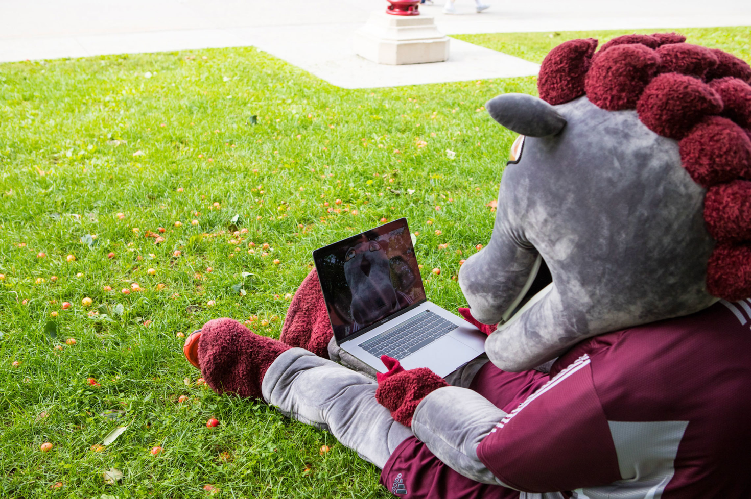 The GeeGee mascot consults the new website on a computer