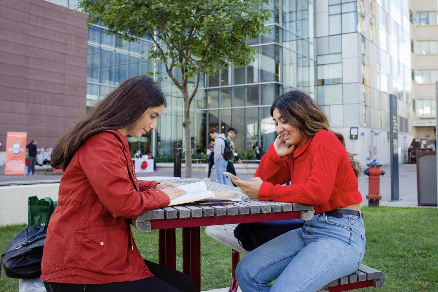 Students studying outdoors