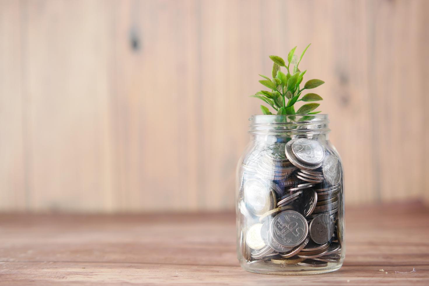Monnaie dans un pot avec une plante