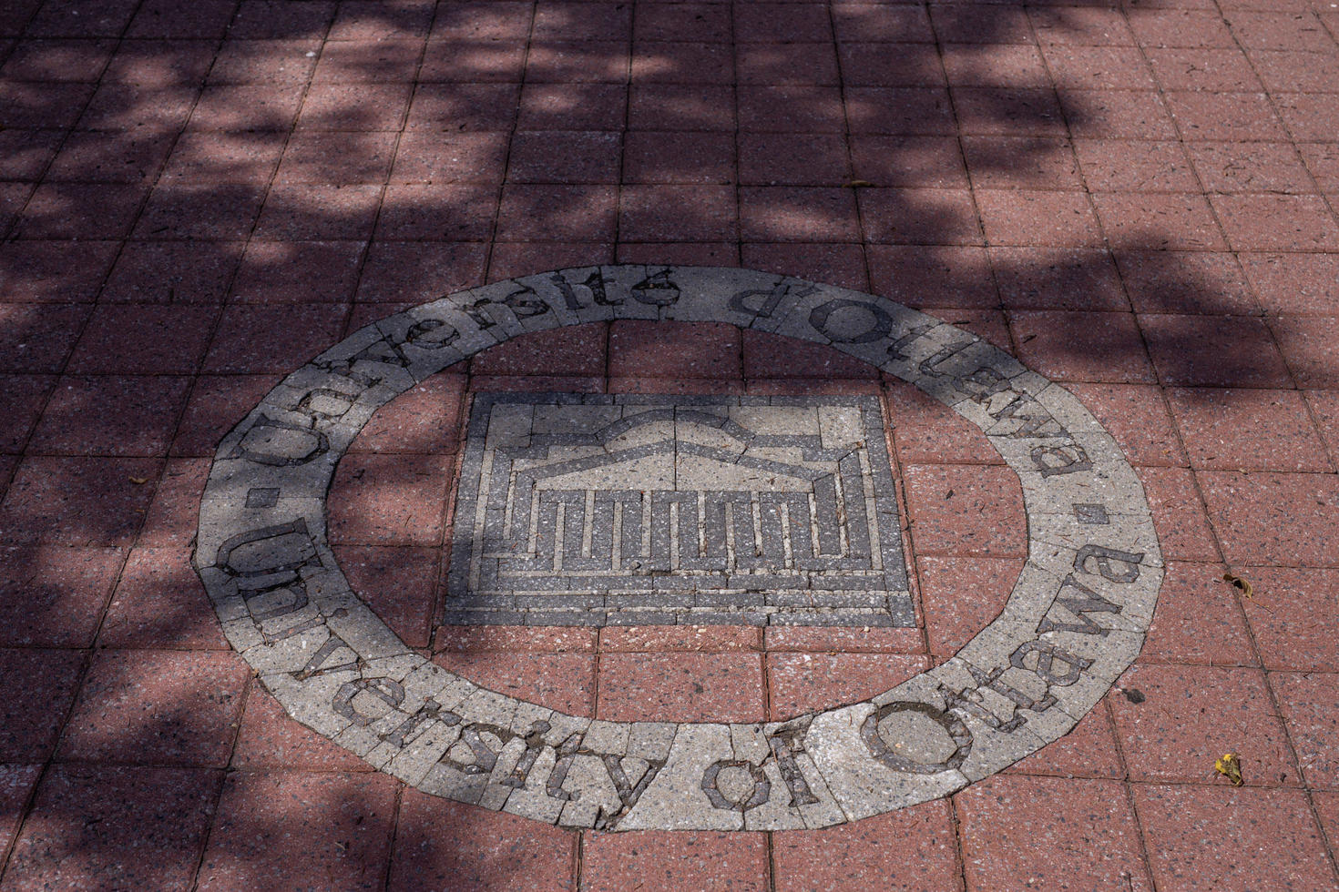 Mosaïque du logo de l'uOttawa