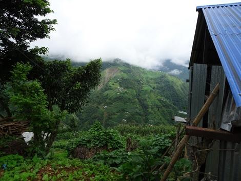 Photo d'une petite maison dans une forêt