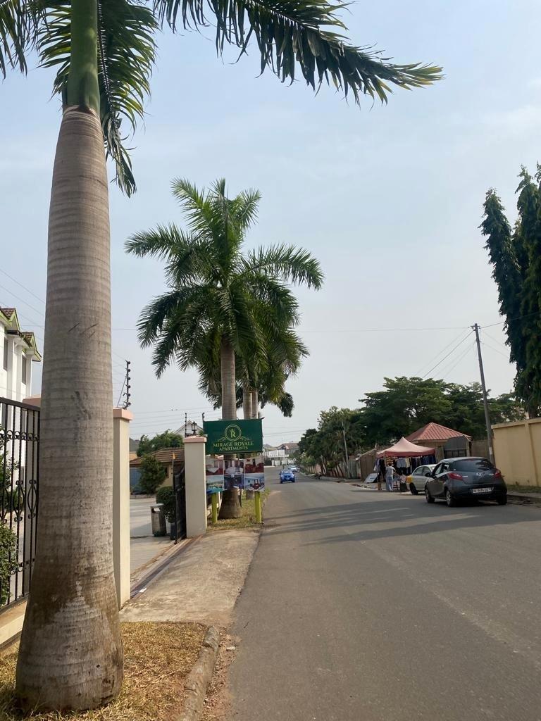 Un quartier avec plusieurs palmiers sur le côté gauche de la rue.