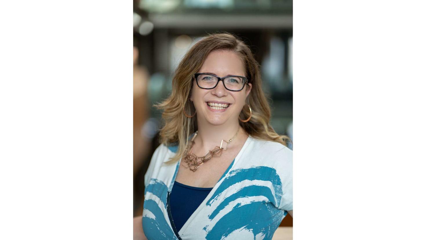 Allison J. Ouimet