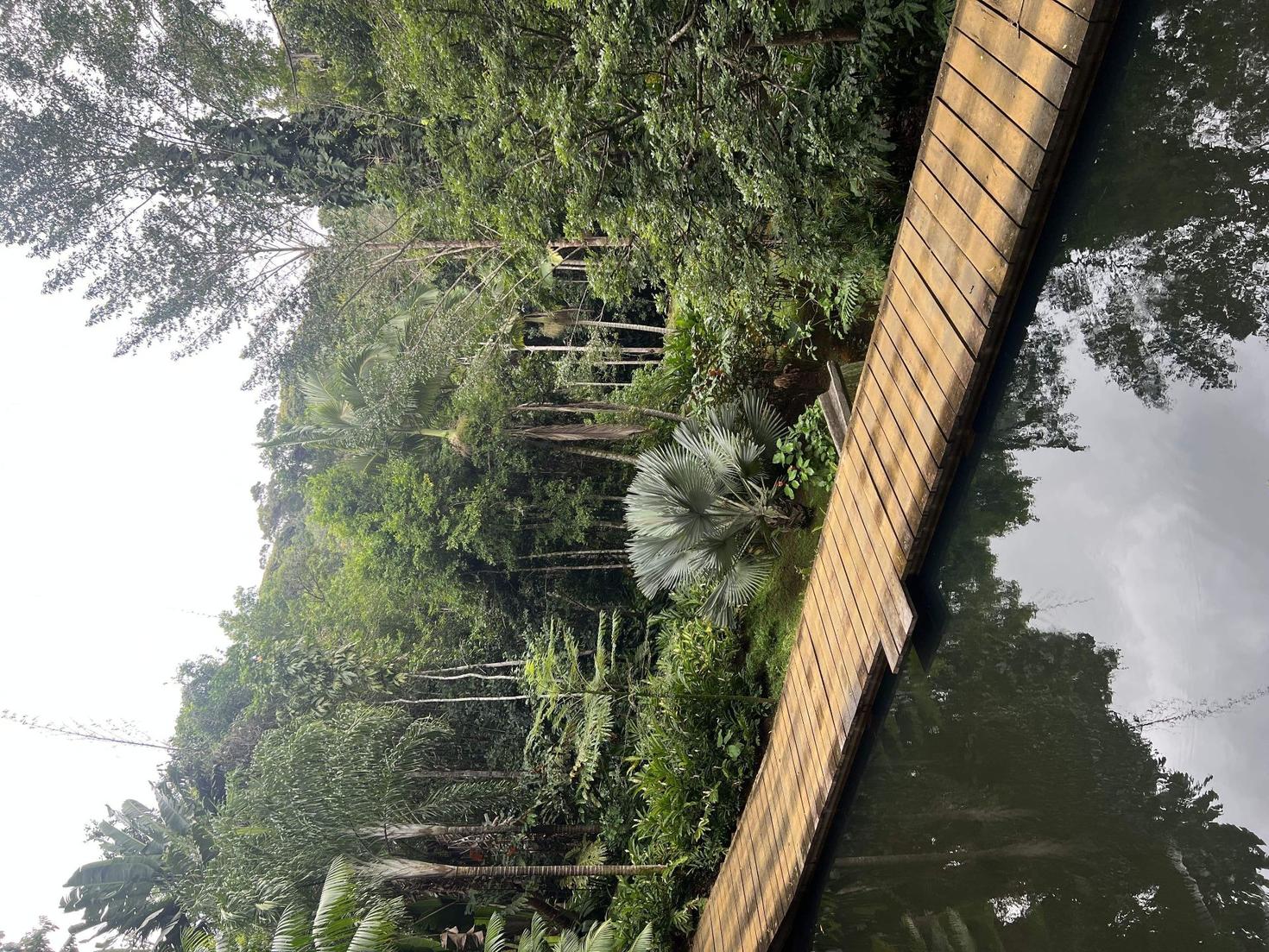 Beauté d'un paysage brésilien