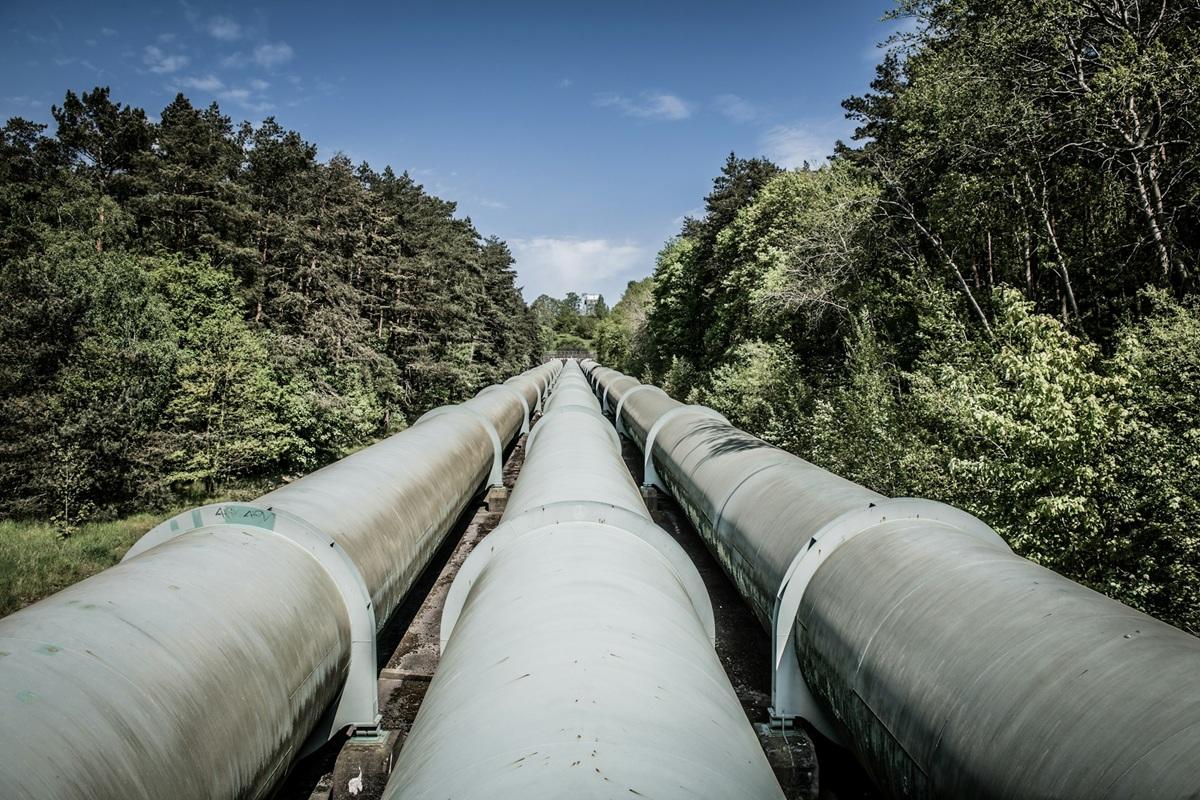Pipelines traversant une forêt