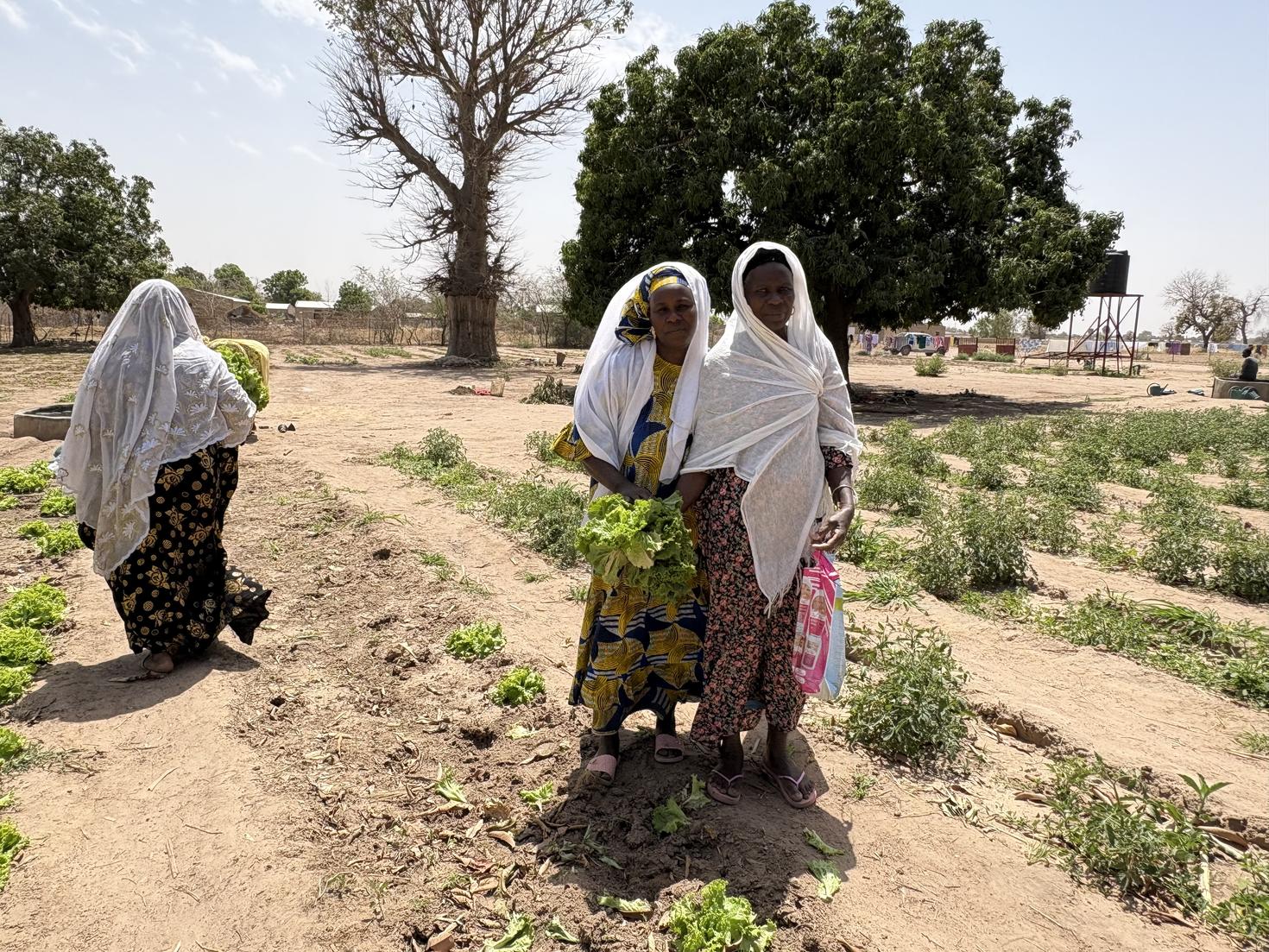 des femmes au Sénégal