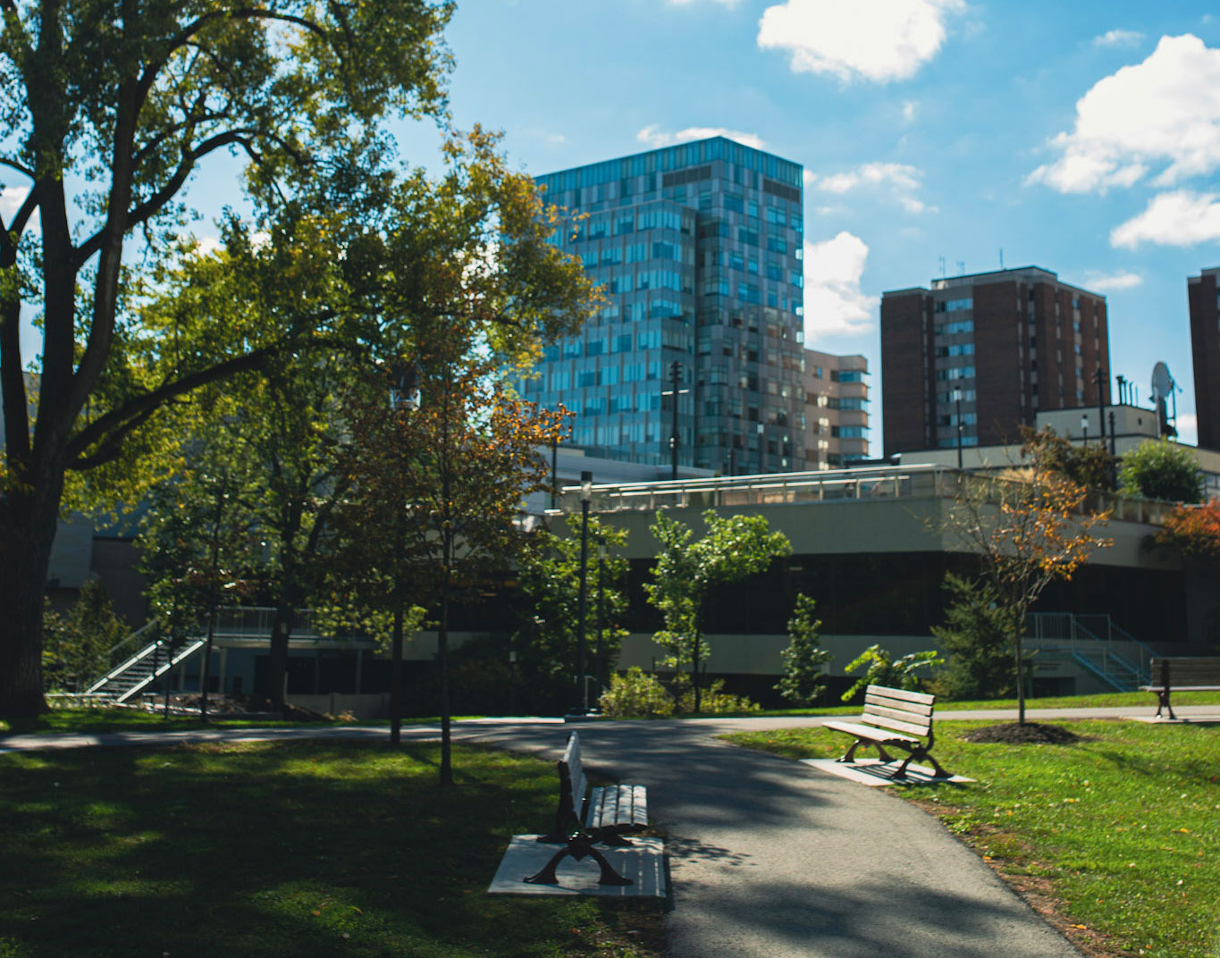 FSS Building and park benches