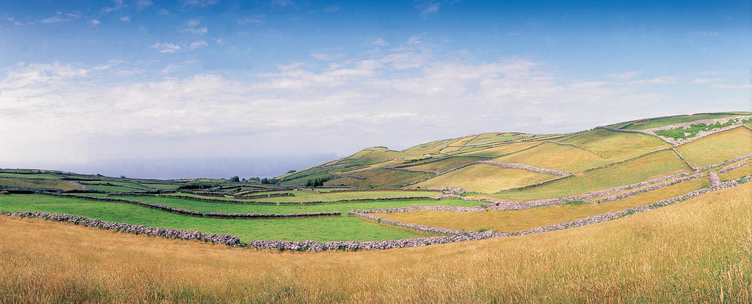 Rolling hills and farm fields.