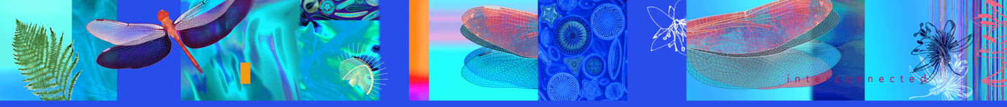 Motion in Air artwork