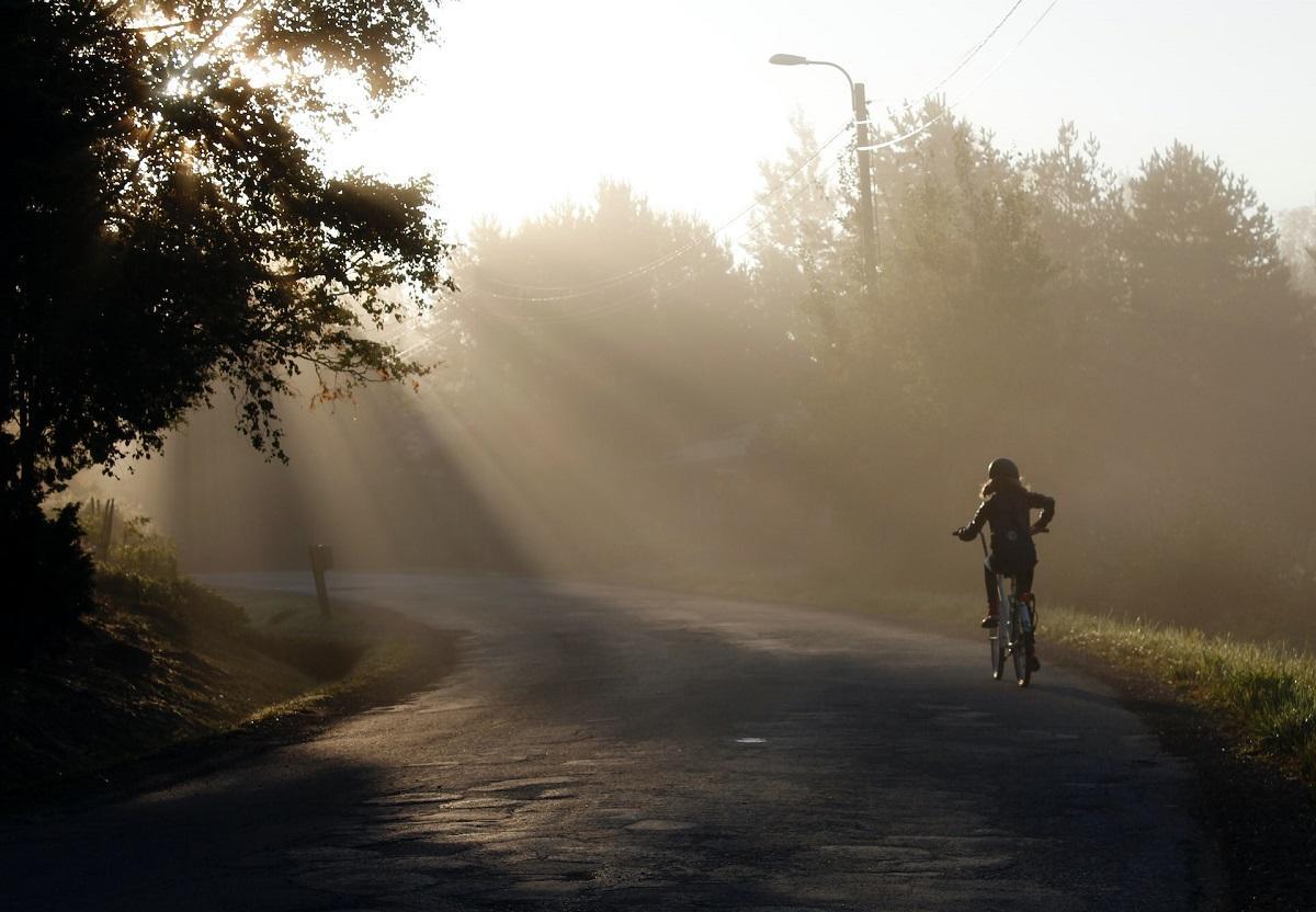 View of child biking on road toward morning sun