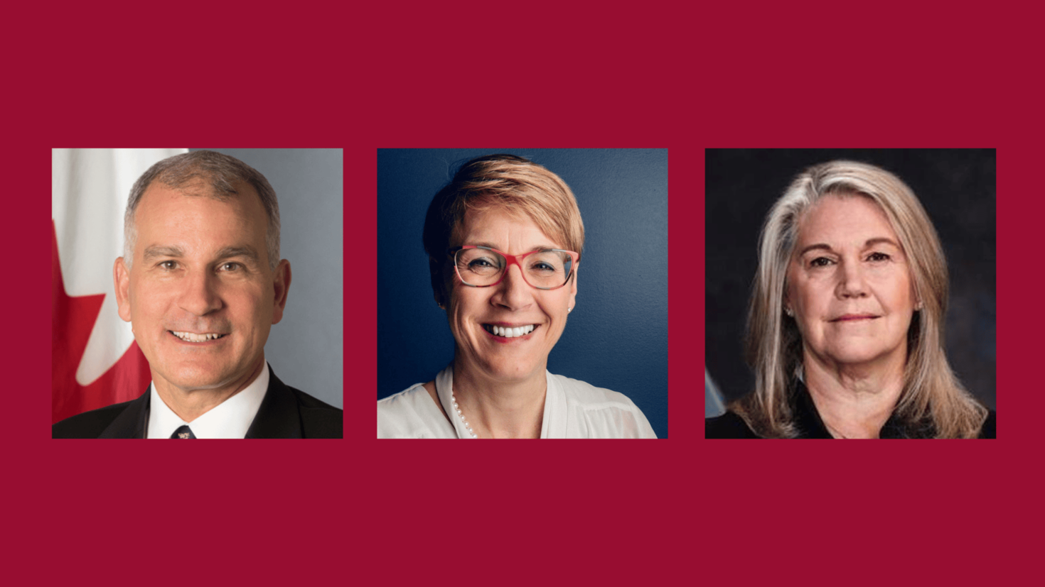 New Senior Fellows 2024