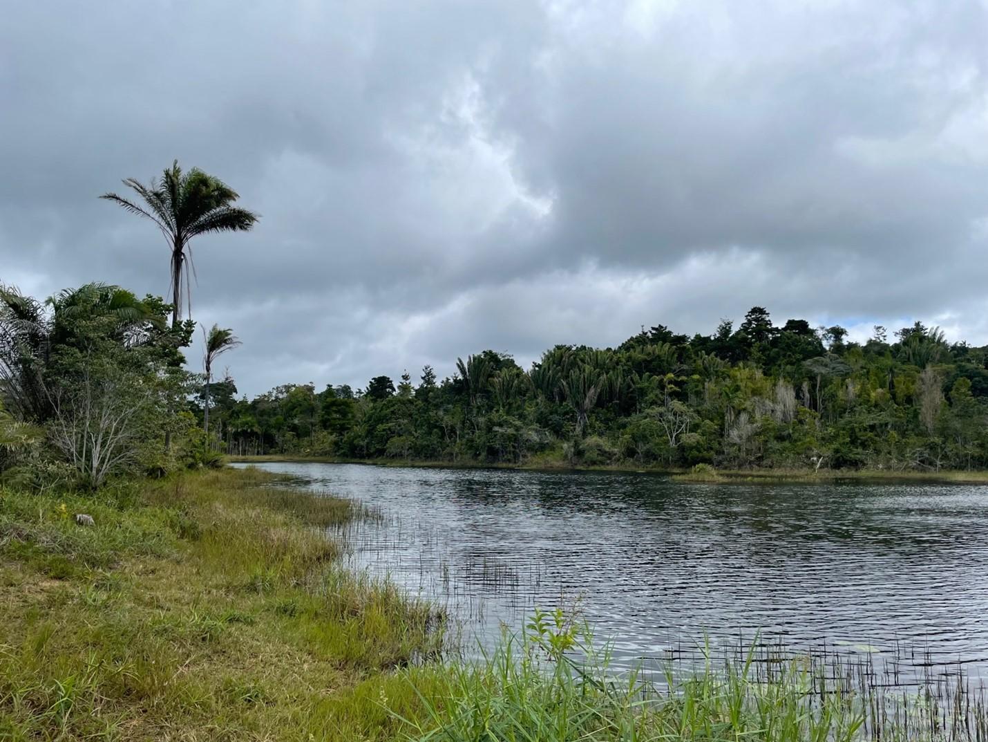 A lake surrounded by greenery.
