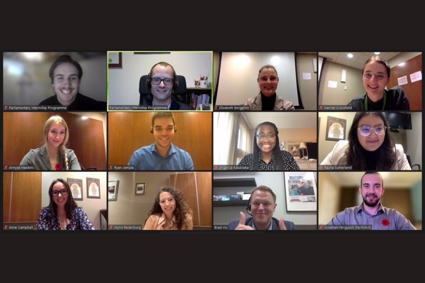 Screen capture of a group of Interns in a virtual meeting
