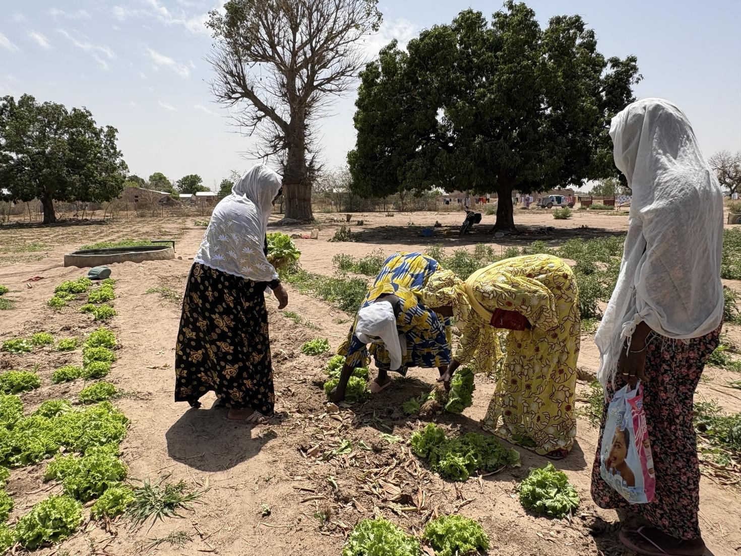Women in Senegal