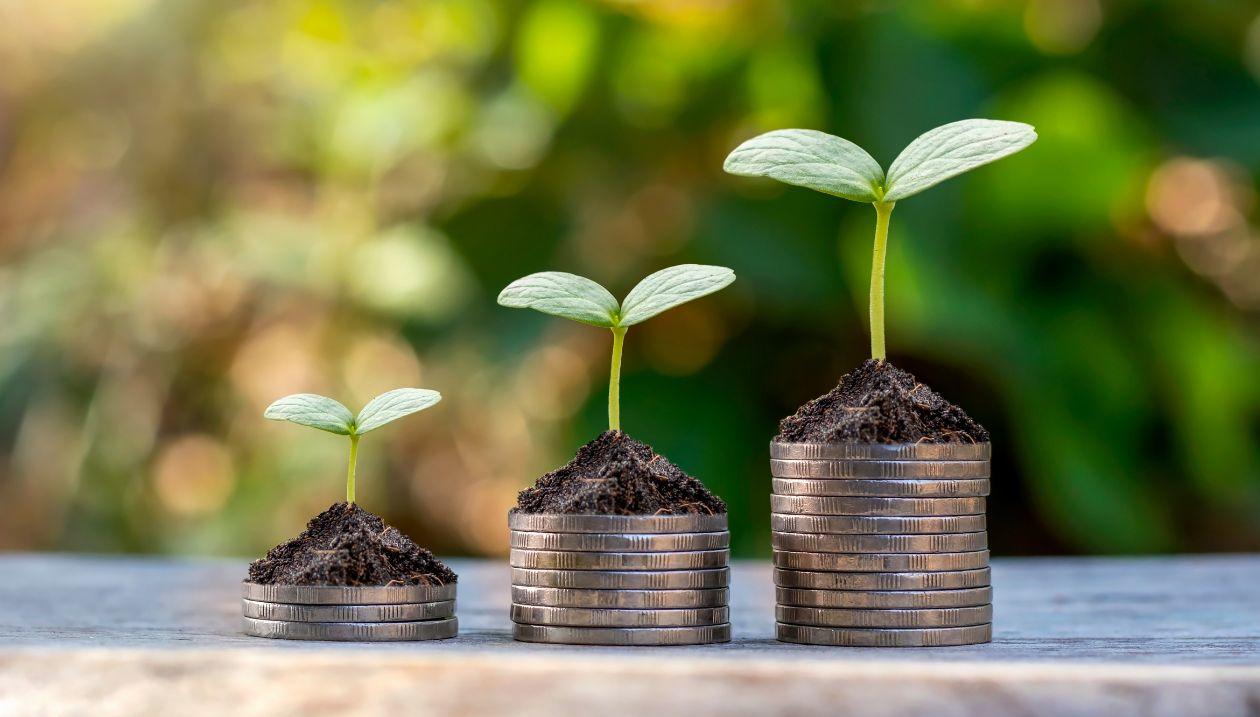 Three stacks of coins in increasing height, each with a small green plant growing out of soil on top, against a blurred green outdoor background.