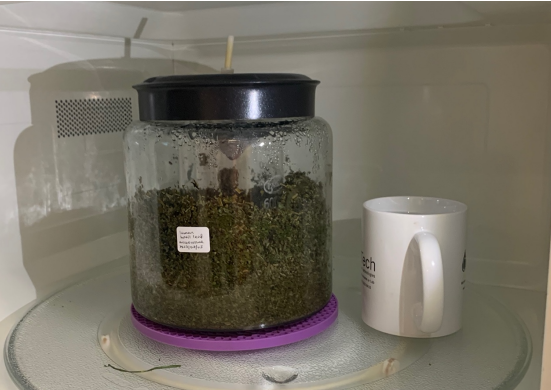 lemon basil leaf under microwave extraction