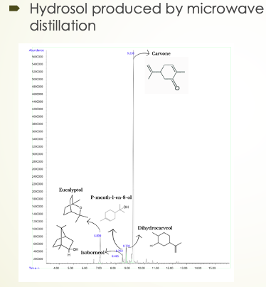 peppermint hydrosol produced by microwave