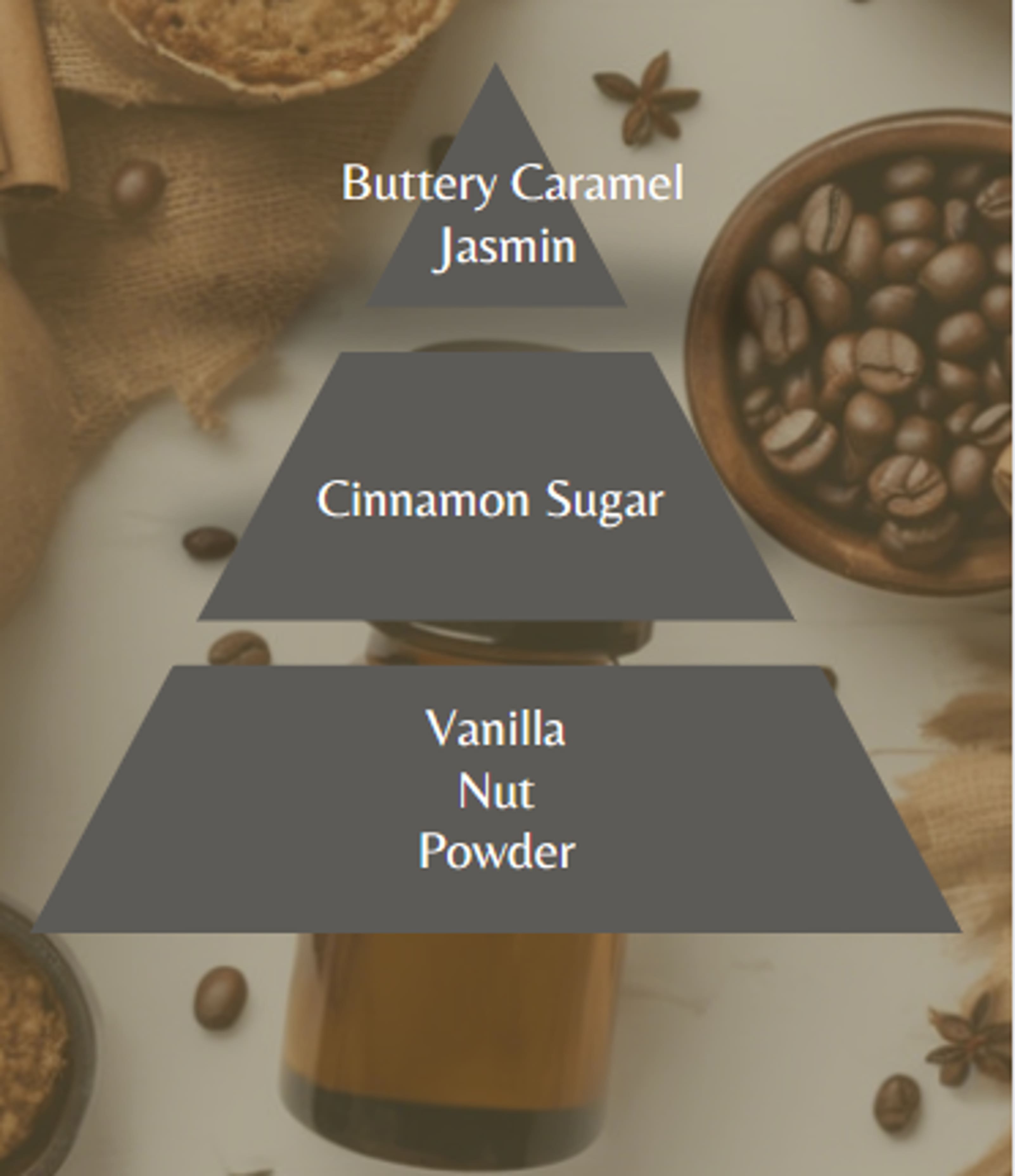 The olfactory pyramid