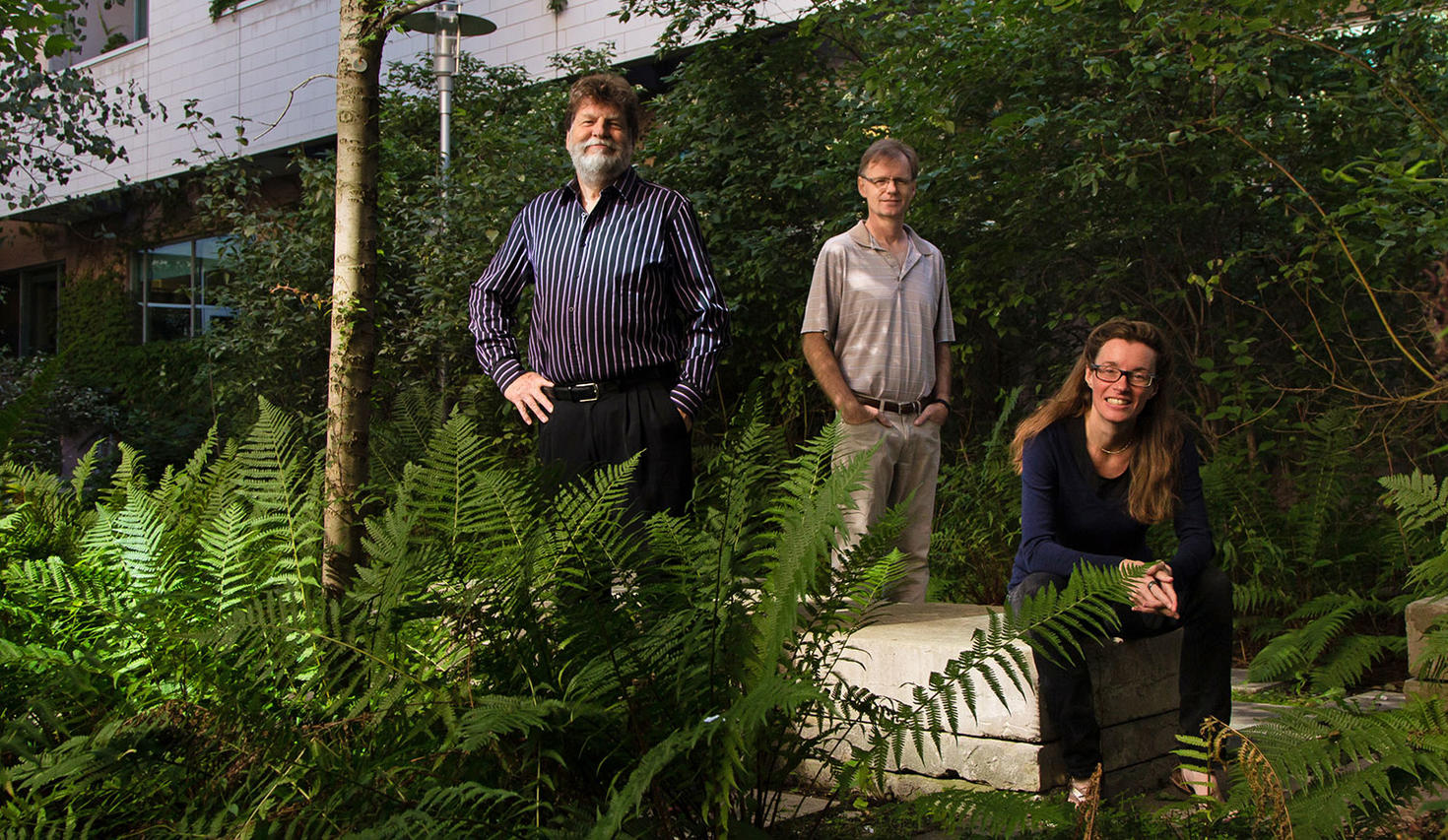 les professeurs de chimie Tom Baker, Michael Organ et Deryn Fogg