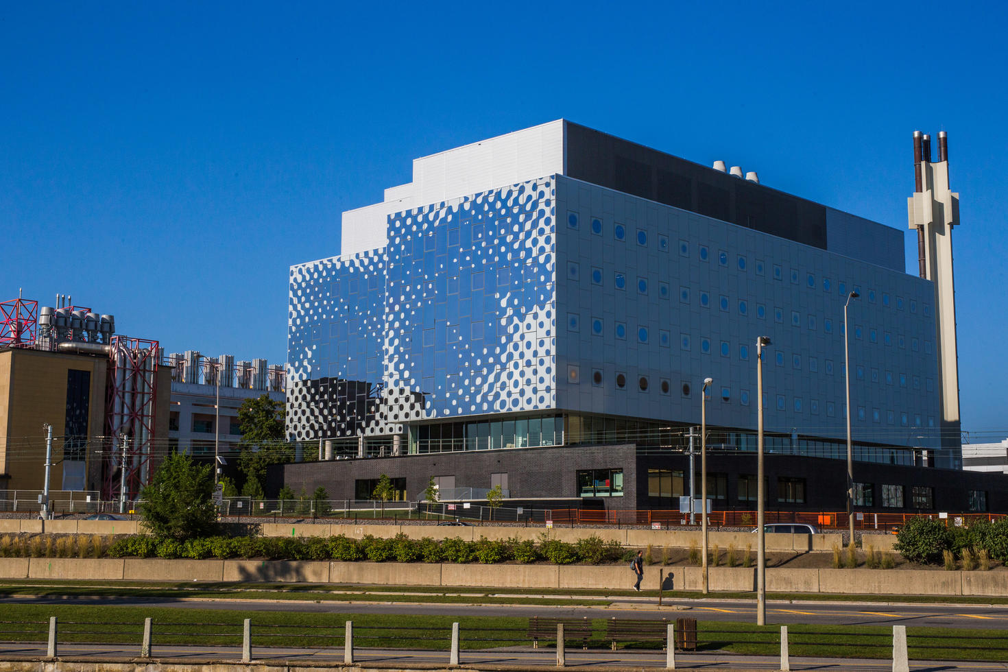 Stem complex
